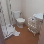 šedivá * Vrchlabí